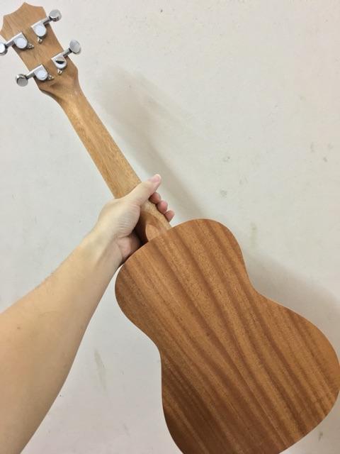 ĐÀN CONCERT LÁ LÚA CAO CẤP