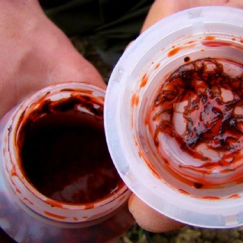 6 Chai Dịch Trùn Quế Đậm Đặc Eel Q Cho Lươn, Cá và BaBa