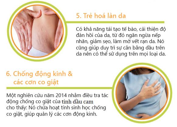 [HCM]Tinh Dầu Cam Đất Việt 10ml
