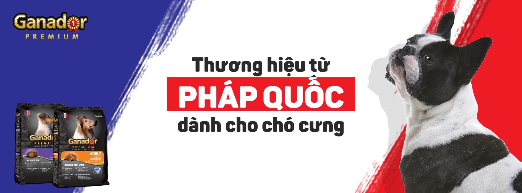 COMBO 5 TÚI THỨC ĂN CHO CHÓ GANADOR ADULT 400gr/ túi