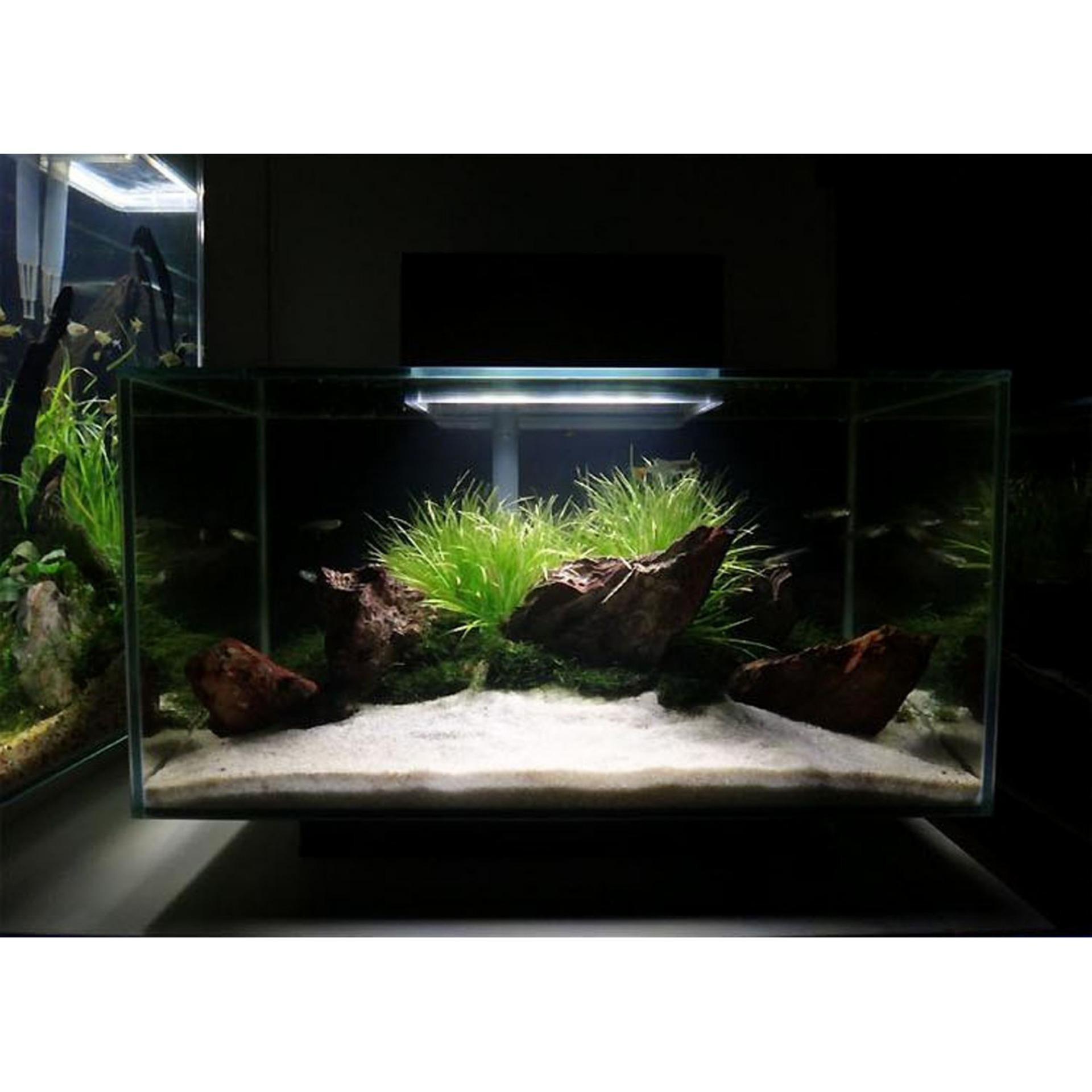 COMBO CÁT THẠCH ANH (2 KG) + BÔNG LỌC BỂ CÁ 60X13CM