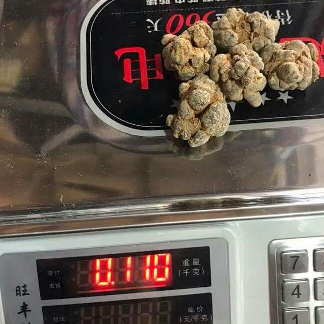 100g Củ tam thất 5 củ
