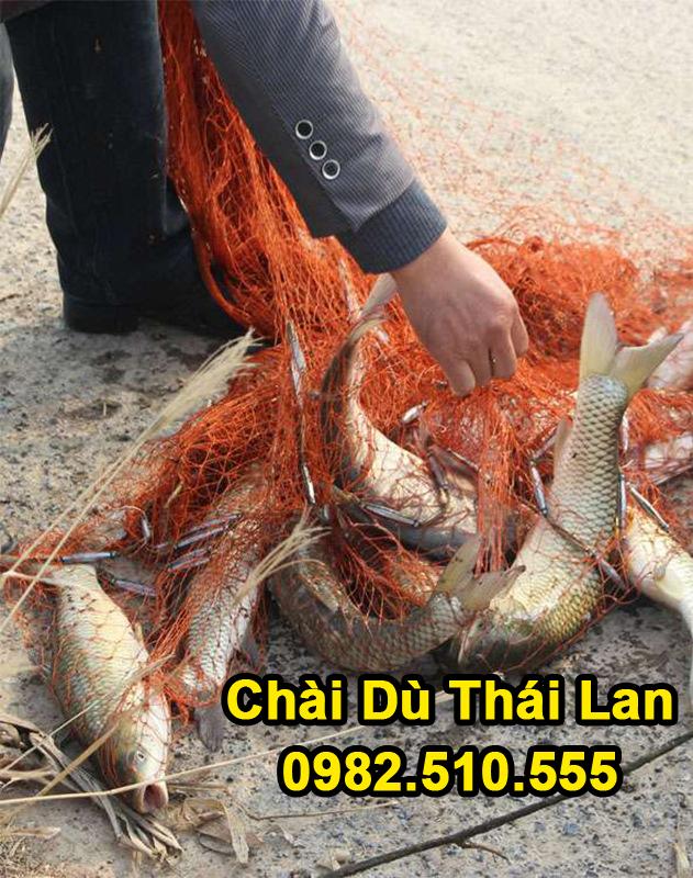 Chài Dù Đánh Cá Thái Lan cao 2m5 bung 5m