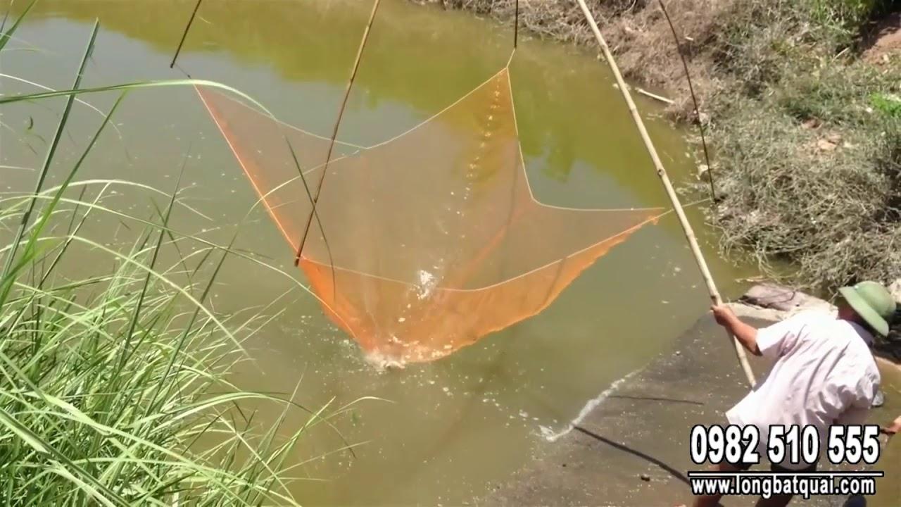 Vó cất tôm cá - Vó 2m ( A cường Fishing )