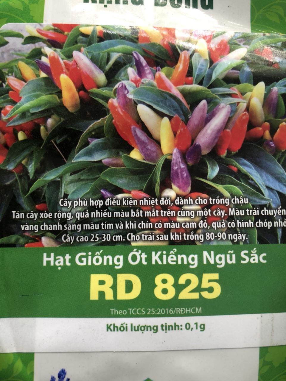 Giống ớt kiểng ngũ sắc
