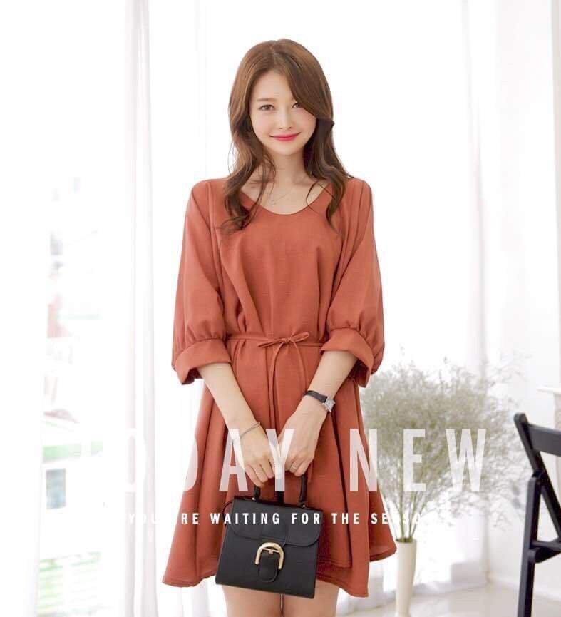 [HCM]Đầm nâu đất dáng chữ A ( có hình khách chụp)