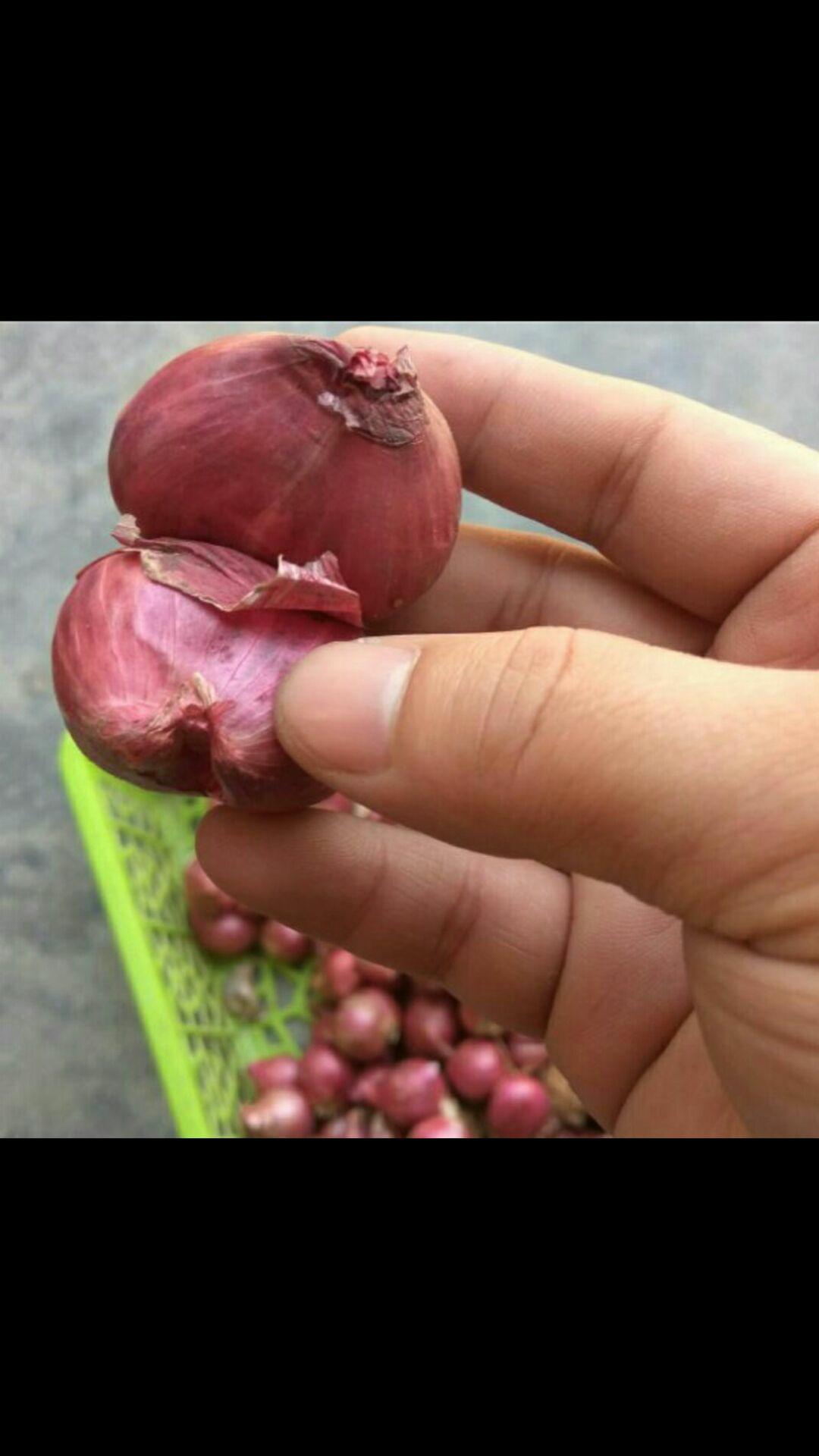 Hành tím 1kg