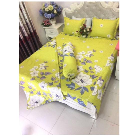 Bộ chăn hè poly nhiều mẫu lựa chọn