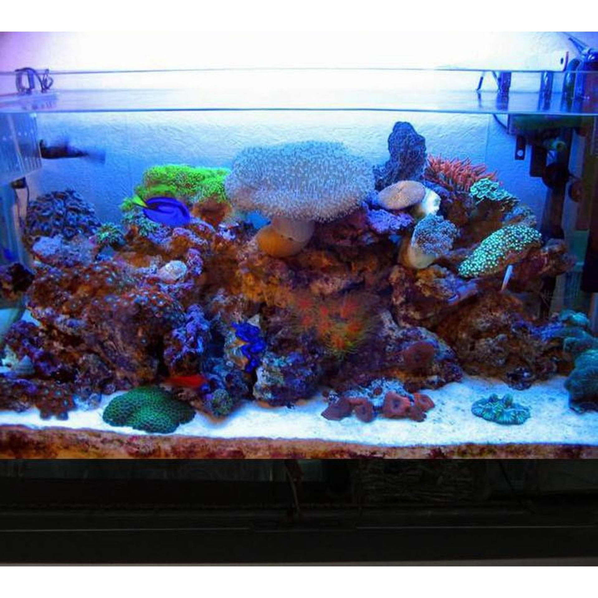 COMBO CÁT THẠCH ANH (2 KG) + BÔNG LỌC BỂ CÁ 60X13CM