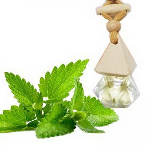 Tinh Dầu Treo Xe, Treo Phòng Hương Bạc hà