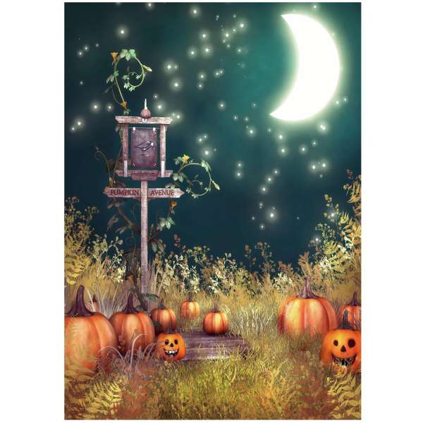 5 x 7ft Vincy Halloween Nền Chụp Ảnh Phòng Thu Ảnh Phông Nền Đạo Cụ Trang Trí Halloween Tiếp Liệu Đom Đóm Nhẹ Phong Cách-quốc tế