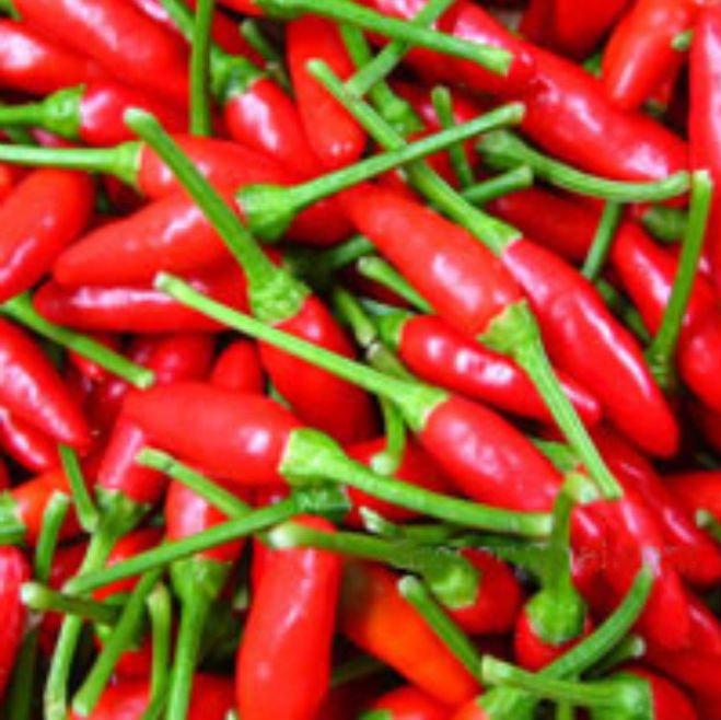 tương ớt Dì Cẩn Đà Nẵng (combo 4 hủ = 800gr)