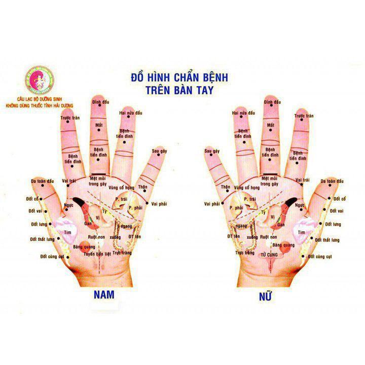 [HCM]Thanh lăn đồng đôi lớn Diện Chẩn