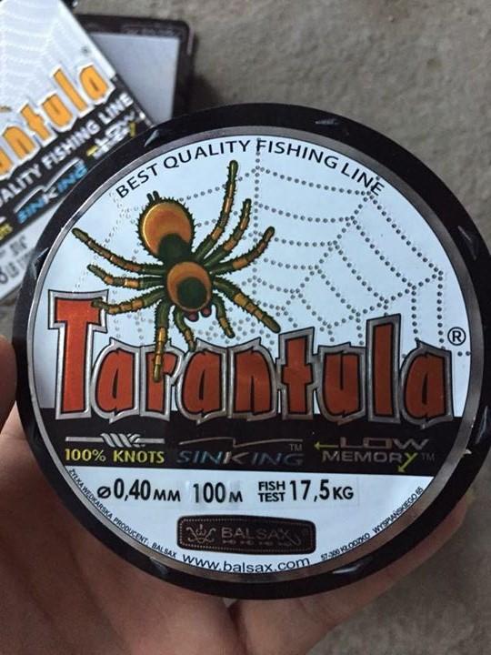 CƯỚC - NHỆN 100m - TARANTULA