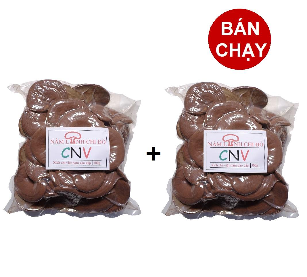 Nấm linh chi đỏ cao cấp CNV 500g x 2 Gói (Xích chi Việt Nam tự trồng)