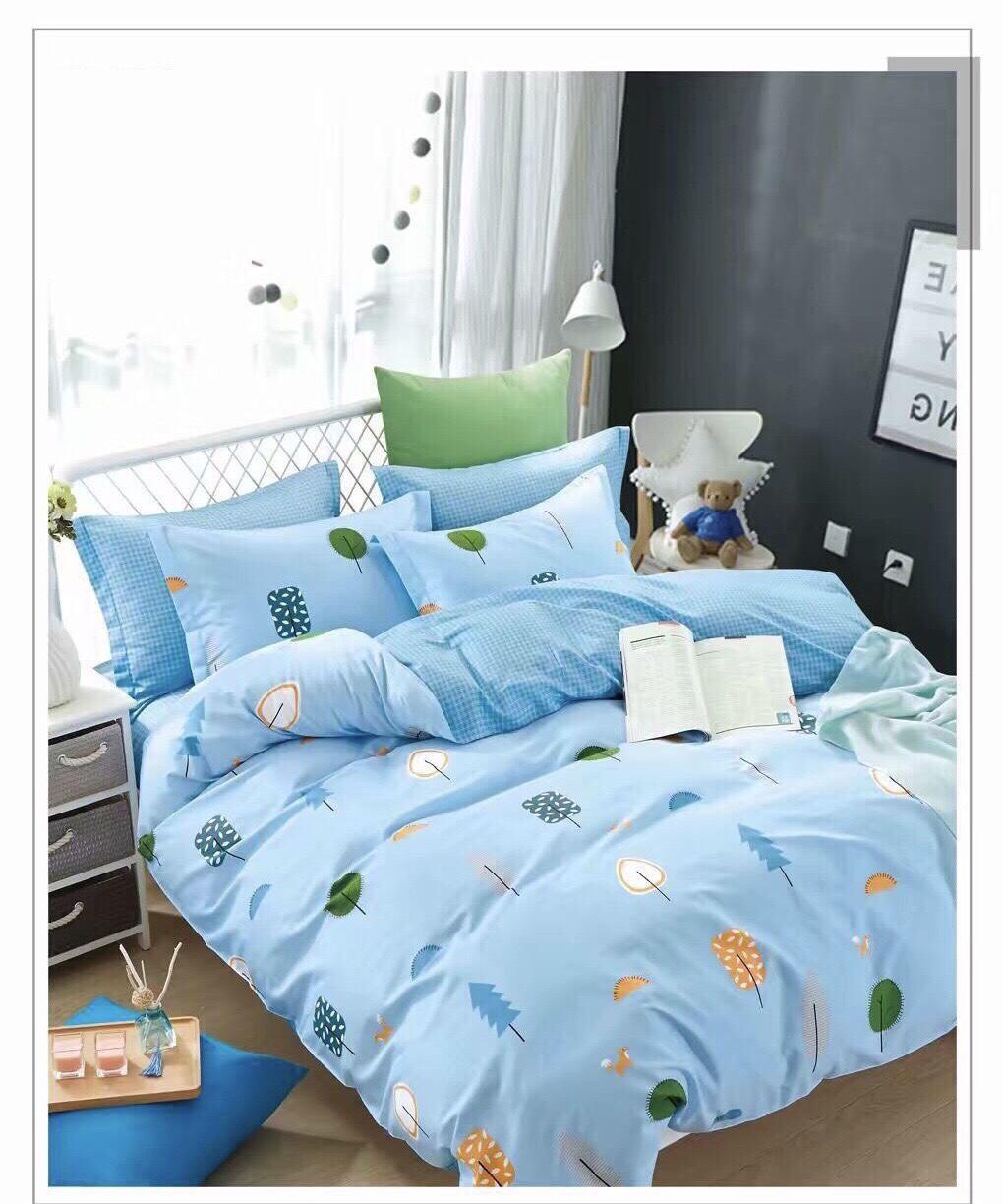 Bộ chăn drap áo gối Hàn Quốc 1.6m