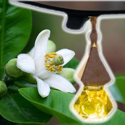 [Hỗ trợ lắp đặt khách Hà Nội] Tinh dầu hoa bưởi treo gương ô tô chống say xe, giúp thư giãn