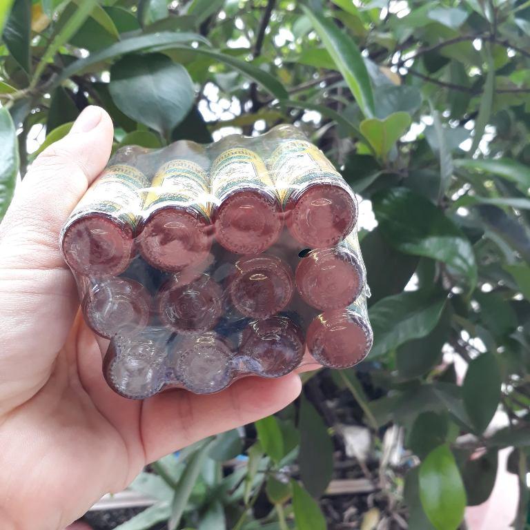 1 chai dầu gió lăn nghệ gừng Thái Lan