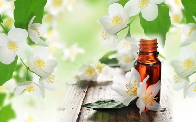 Tinh dầu hoa nhài Jasmine - 10ml