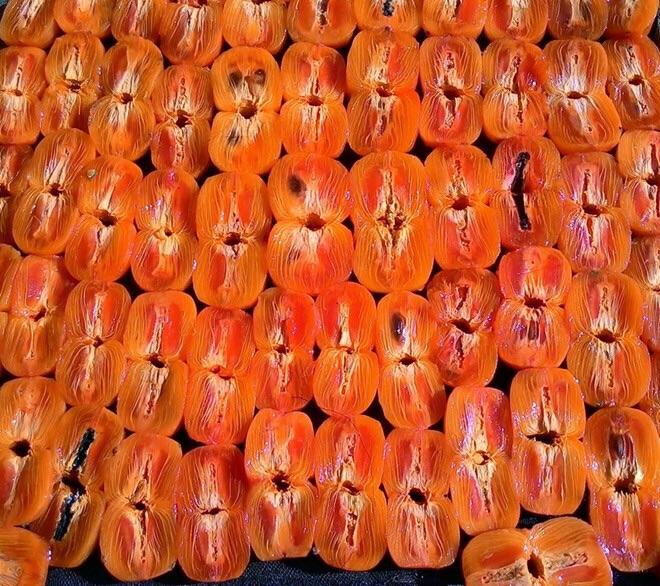 Hồng Sấy Dẻo Chẻ DLFRESH Đặc Sản Đà Lạt Túi 500gr