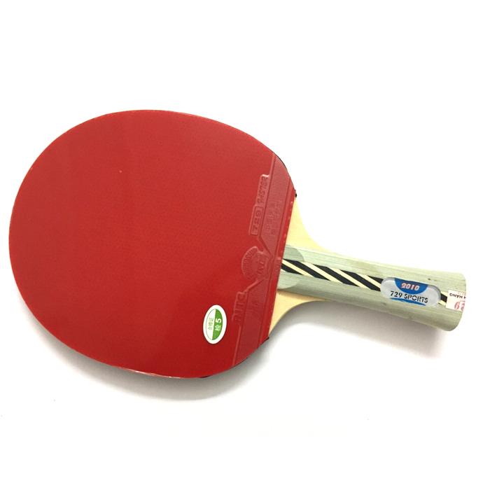 Vợt bóng bàn 729-2010