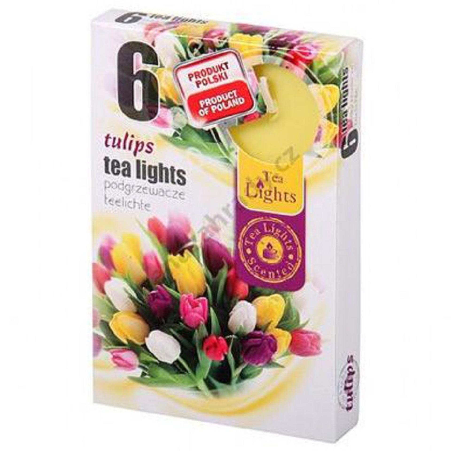 Hộp 6 nến thơm Tea lights Admit Tulips ADM7746 (Hương hoa tulip)