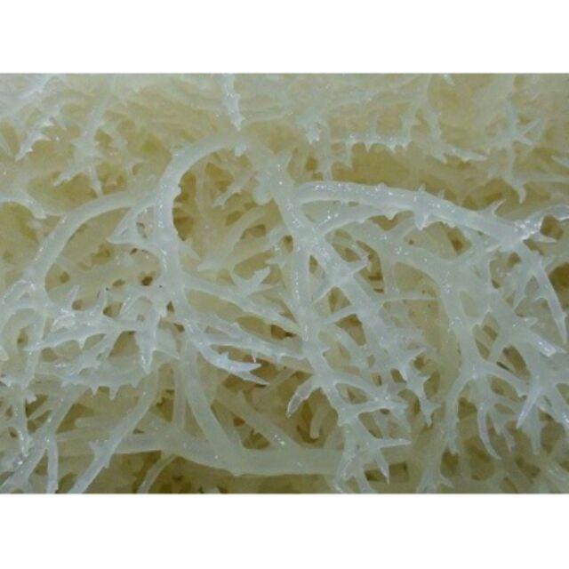 1Kg Rong Sụn Phan Rang - Rong Biển Trắng