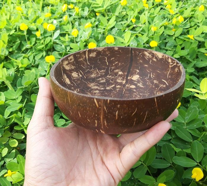 Bát ăn chè bằng Gáo dừa độc đáo| YESCOCO XƯỞNG SX