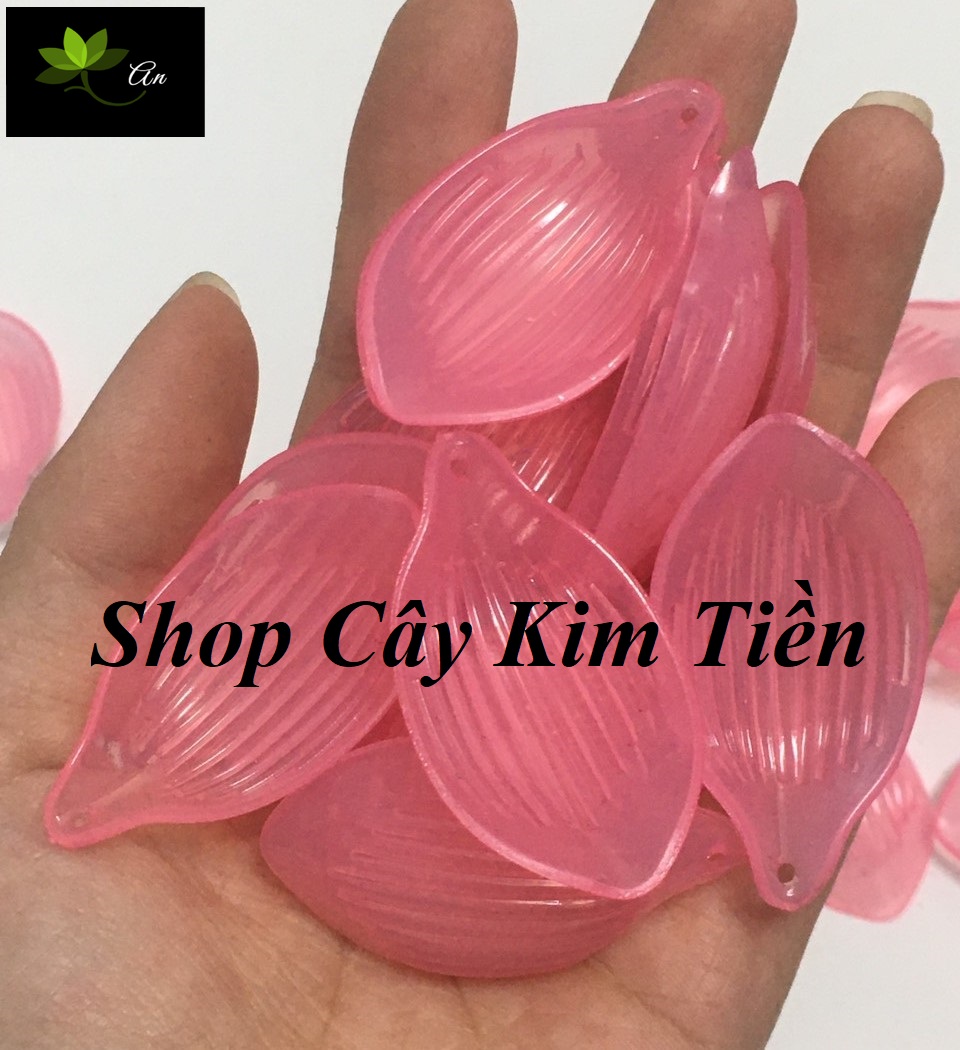 Cánh sen pha lê đá ( 100gr)