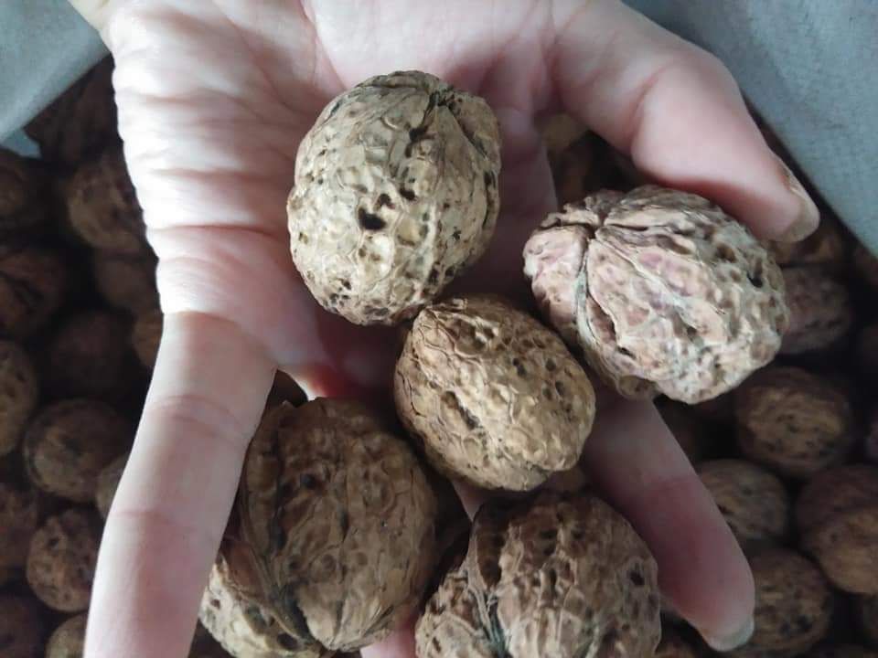 Quả óc chó nếp rừng Lai châu 1kg