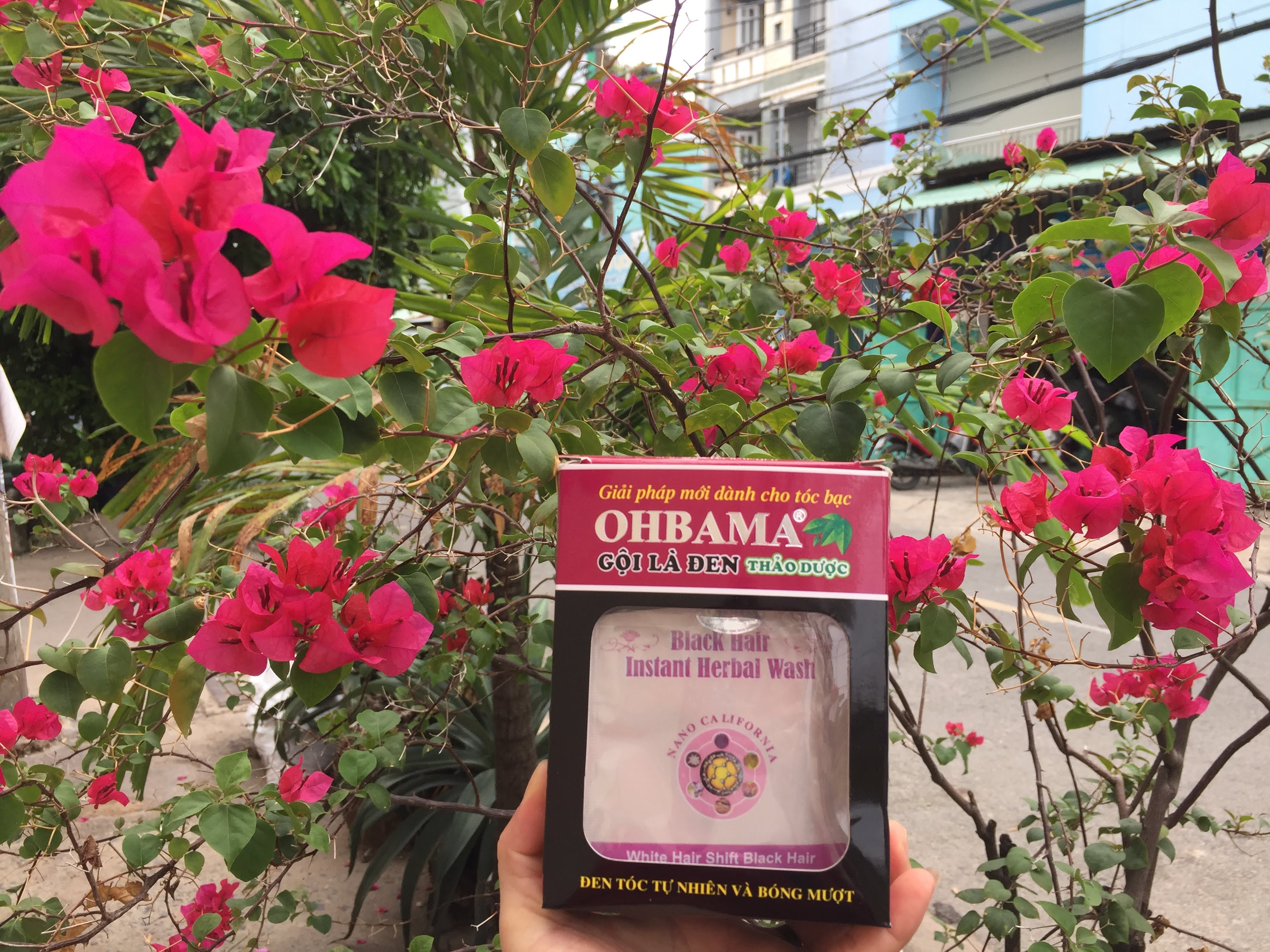 Combo 2 gói dầu gội là đen Thảo dược OHBAMA 40 ml