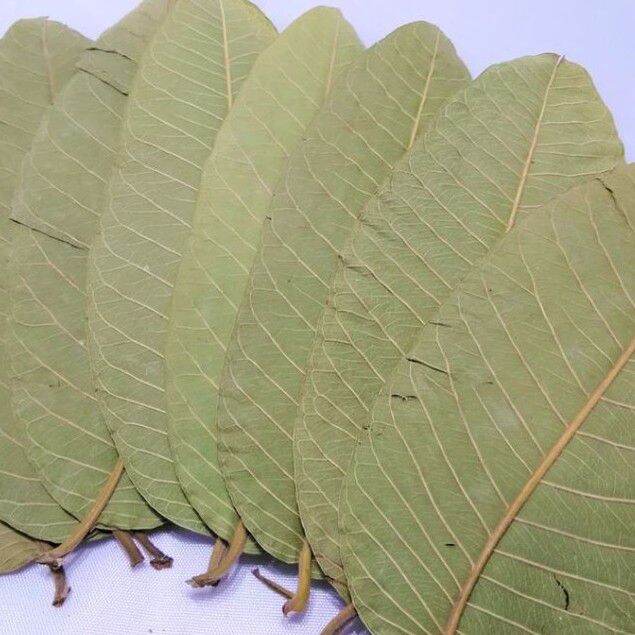 1kg trà lá ổi khô