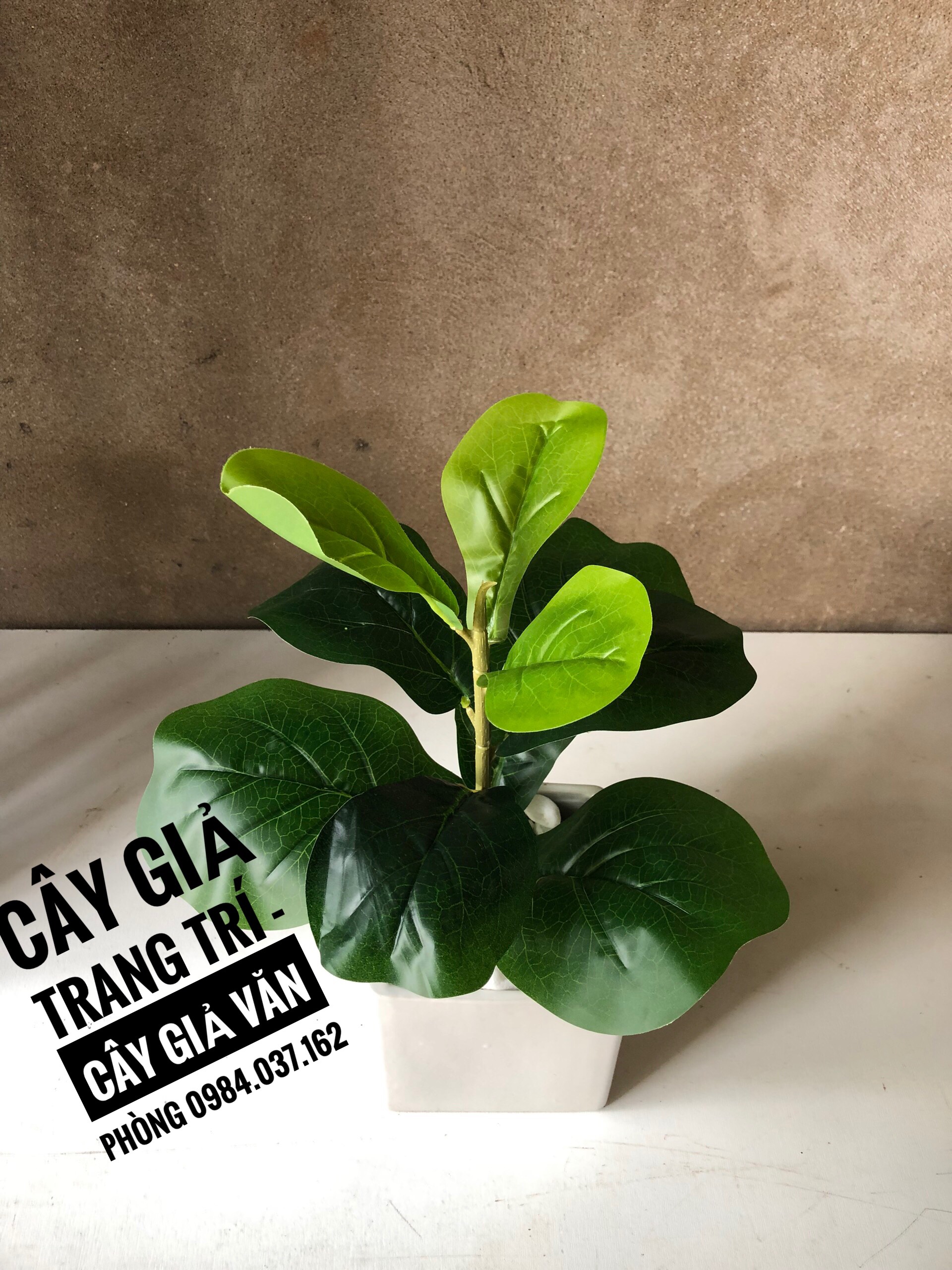 Cây Bàng Singapo Giả Mini Để Bàn- Cây Giả