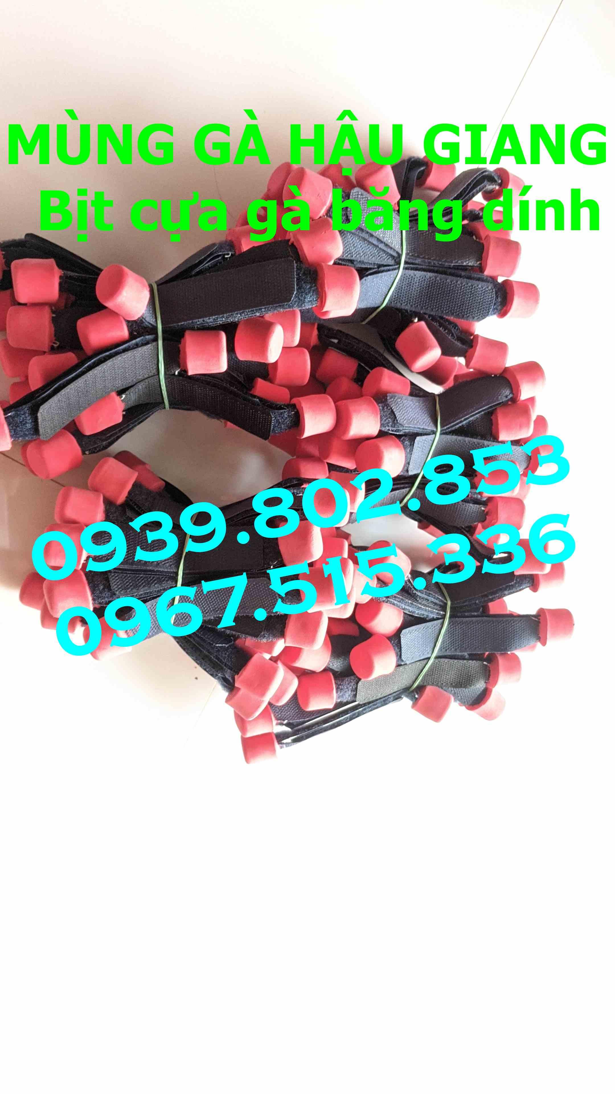 Bịt cựa gà nòi giá rẻ (1 bộ 4 cái)