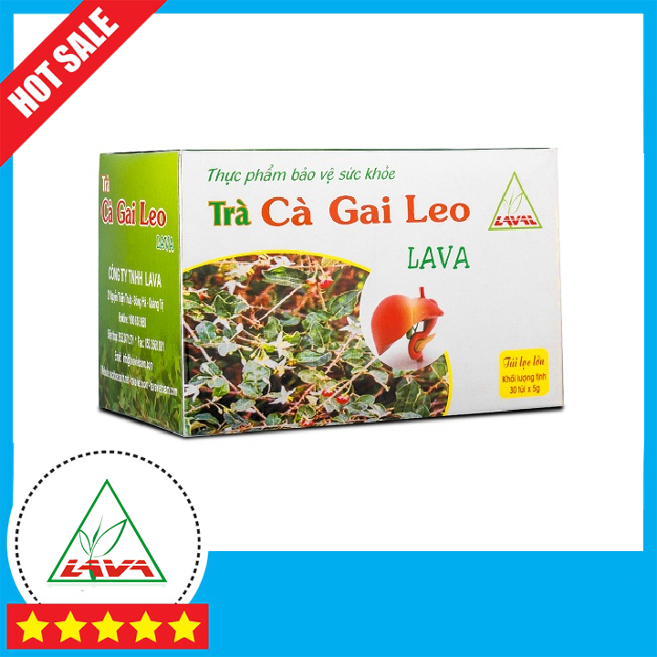 Trà Cà Gai Leo - Hỗ Trợ Bệnh Gan, Viêm Gan B, Hạ Men Gan