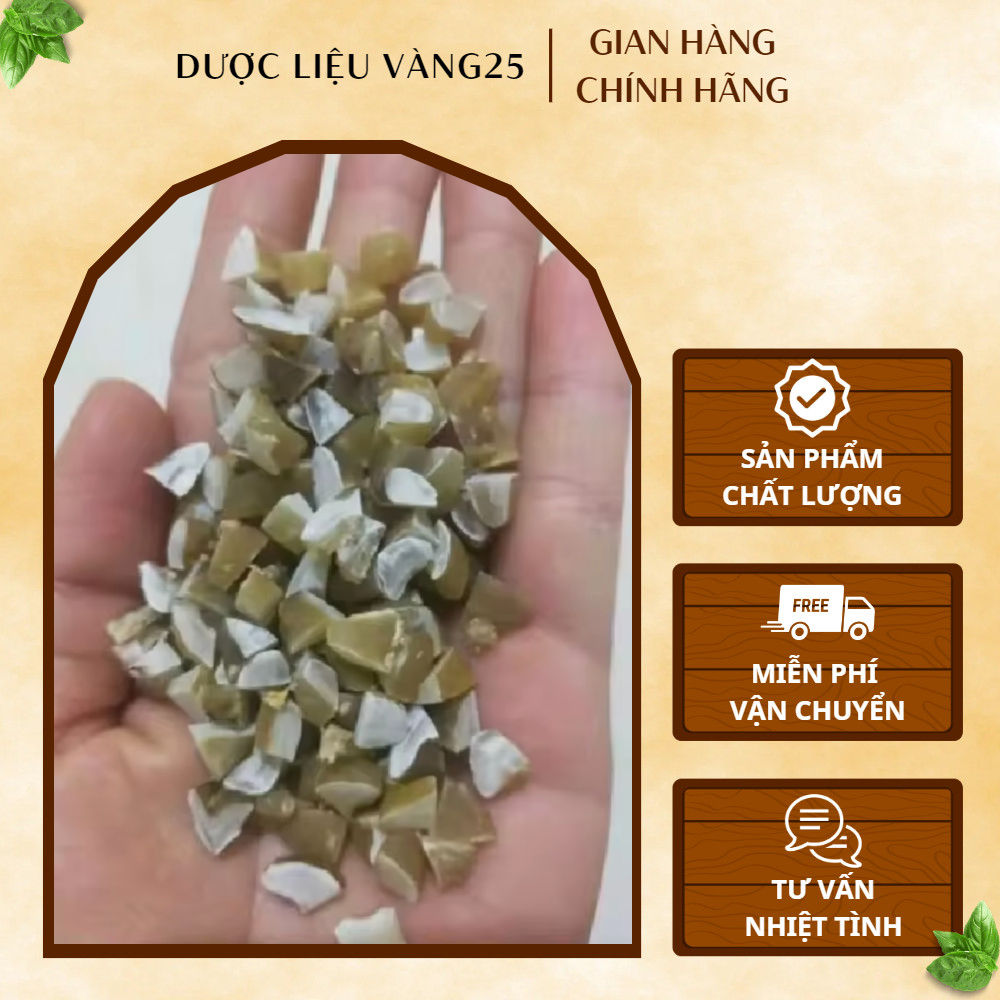 Hạt sang, hạt Sành hết dạ dày, đại tràng thảo mộc gia truyền | Dược Liệu Vàng 25