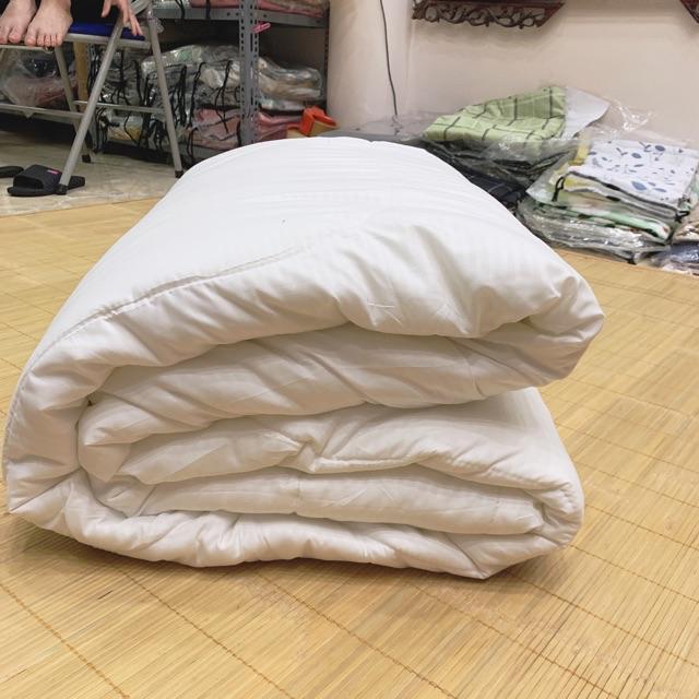 RUỘT CHĂN TẤM UNIQLO