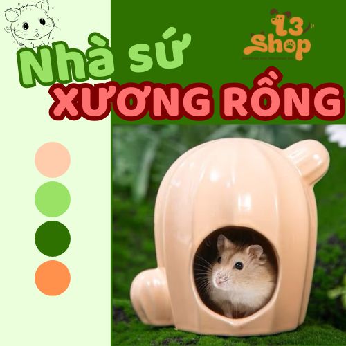 Nhà sứ xương rồng dành cho hamster - T3 PETS SHOP