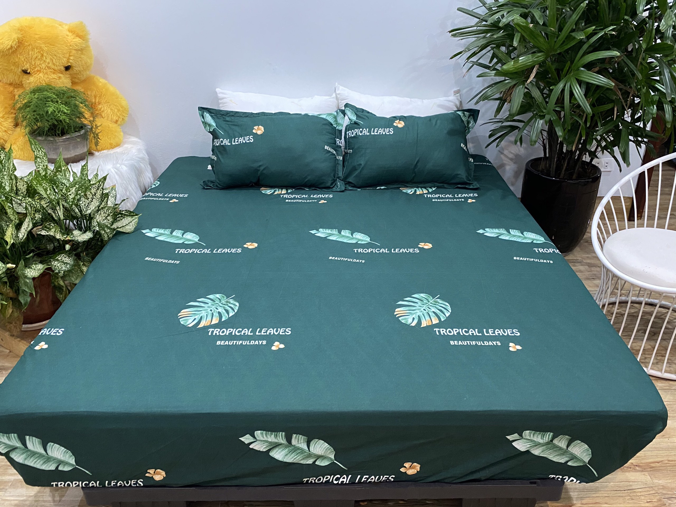 Bộ Ga Gối 3 Món ( Gồm 1 Ga Bo Chun + 2 Vỏ Gối) Mã CH219