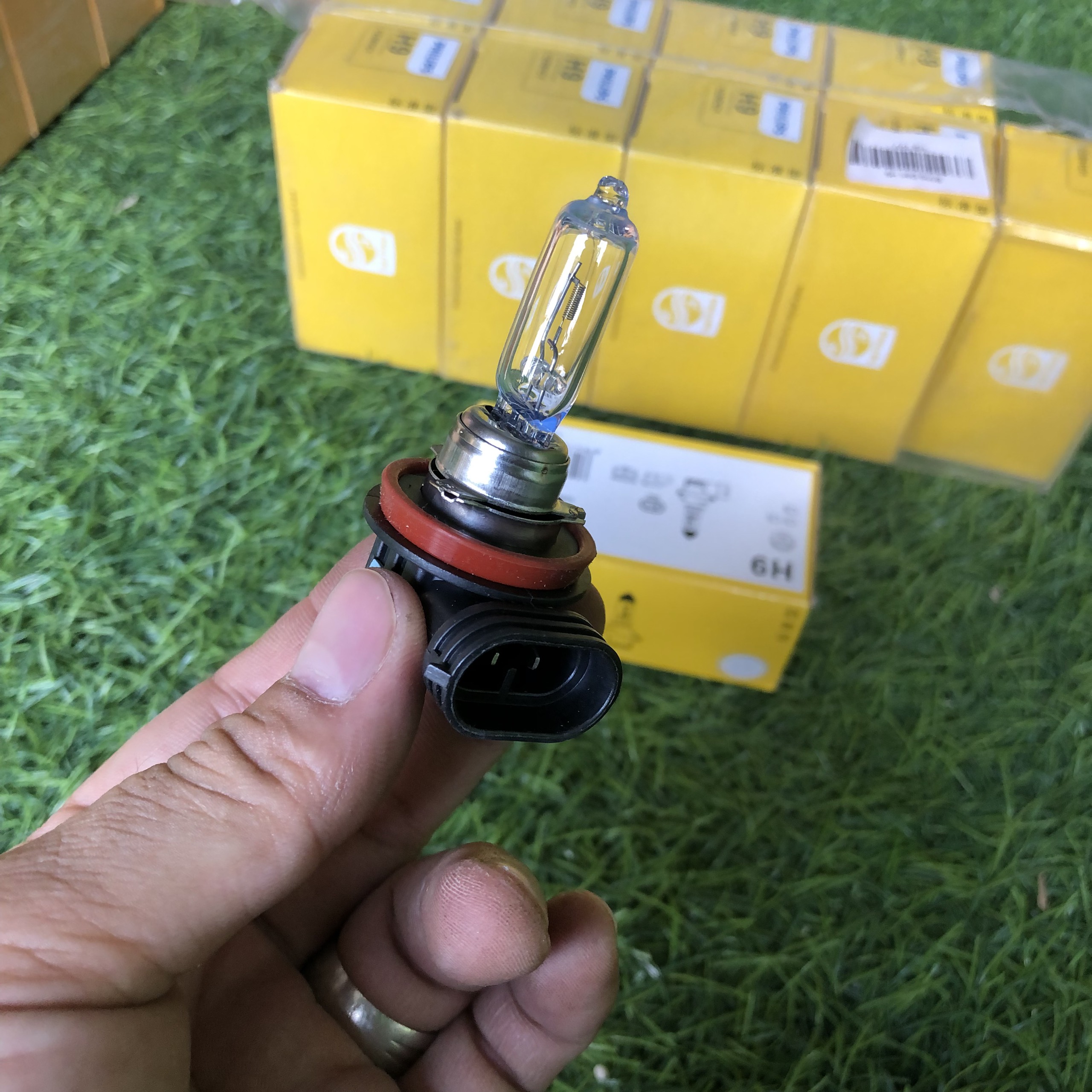 BÓNG ĐÈN Ô TÔ CHÂN H9 12V PHILIPS