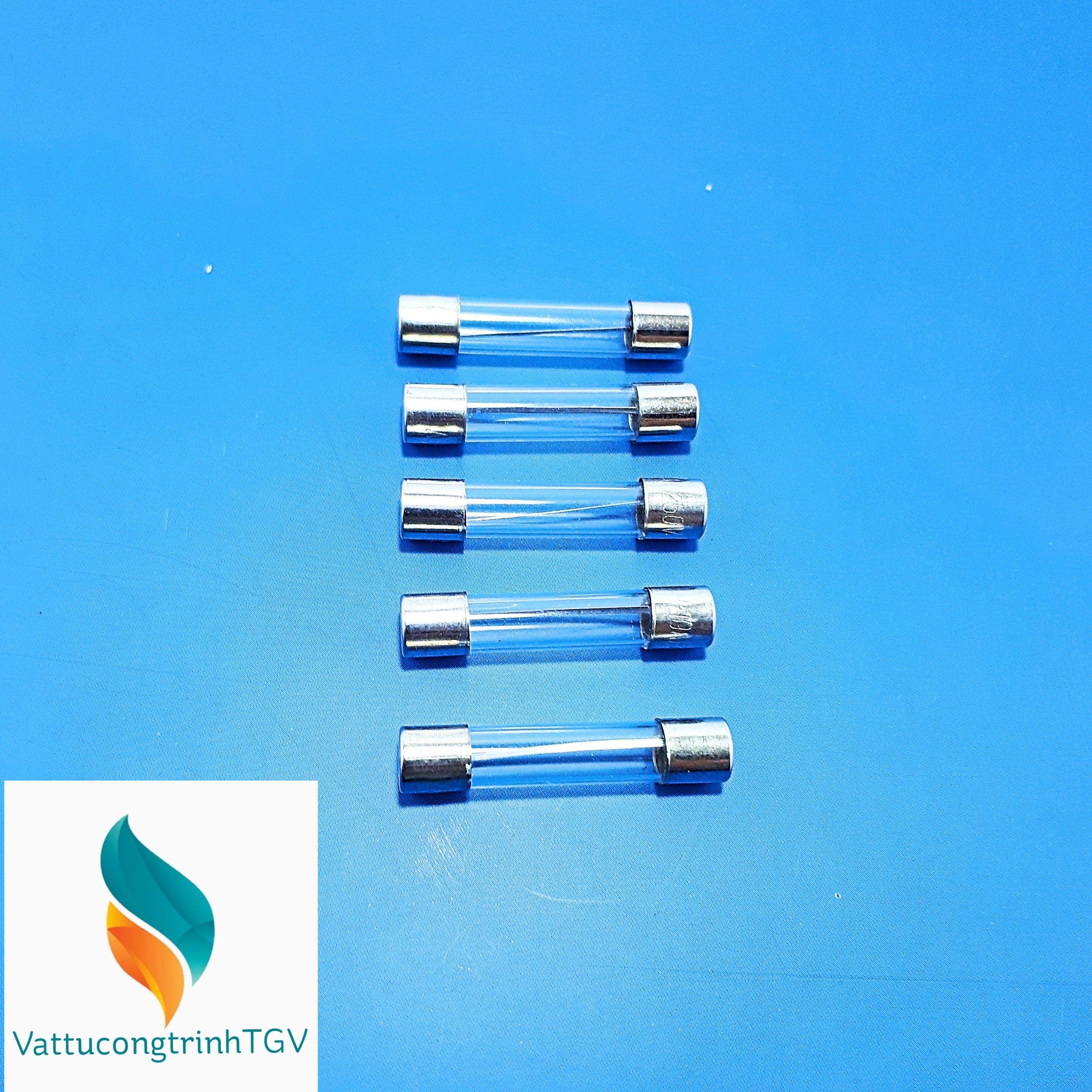 Bộ 5 cầu chì 5A (30x6mm)