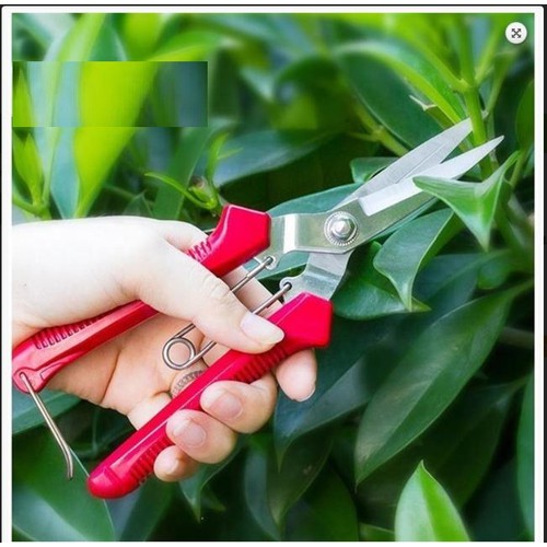 Kéo tỉa cành trái tỉa chi dăm 195cm màu đỏ -LV110