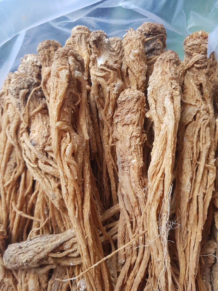 1kg sâm đương quy khô