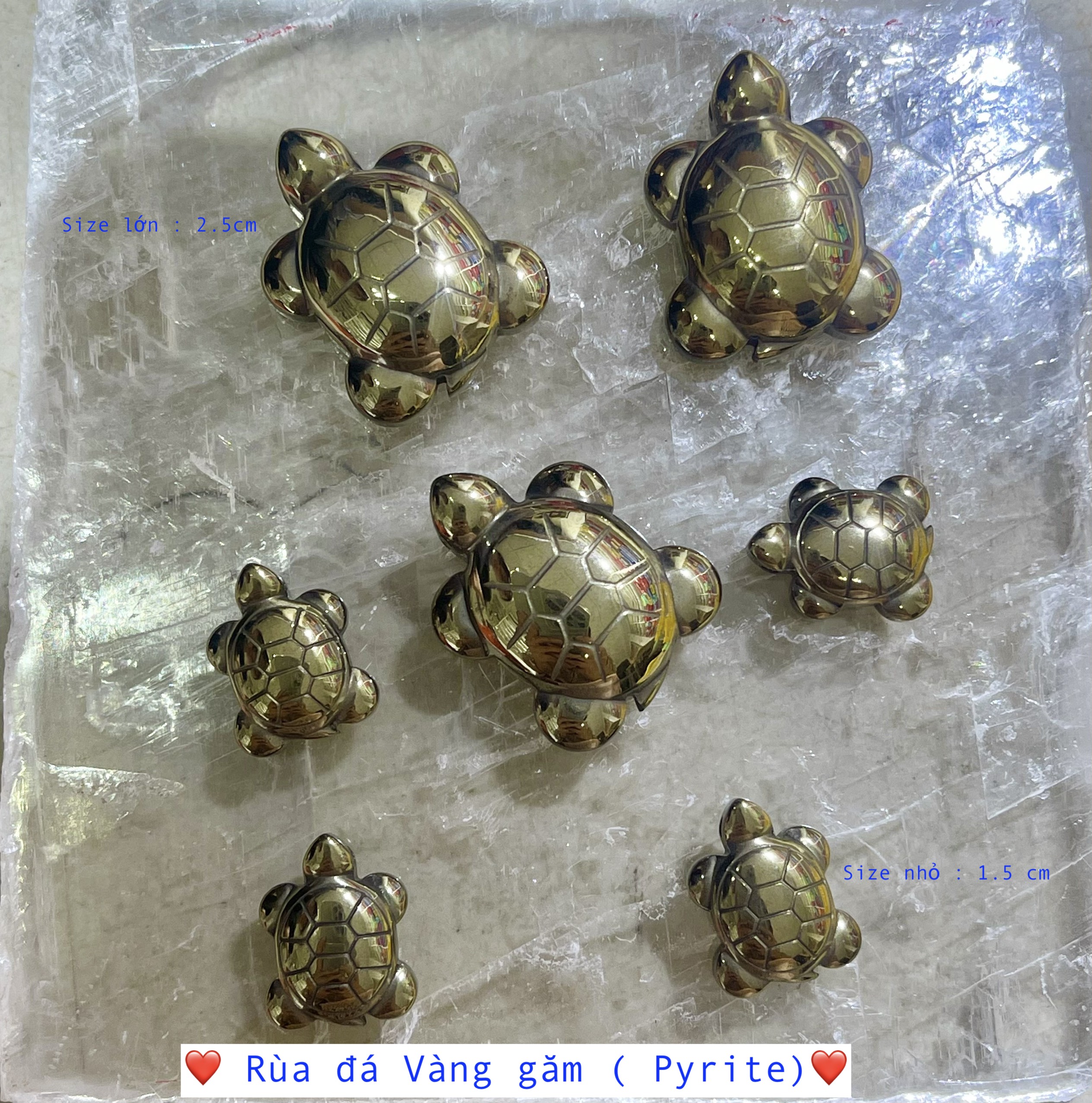 Rùa đá vàng găm - pyrite | cada decor