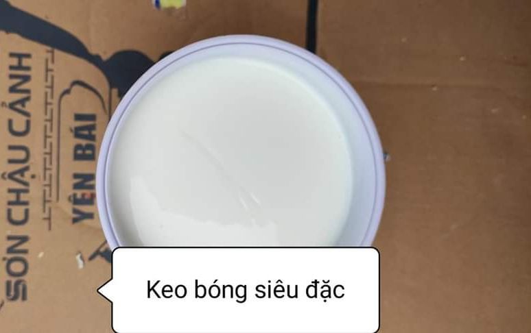 Sơn chậu cảnh yên bái sơn hệ nước chuyên dụng lót kiềm sẵn quét 1 lớp