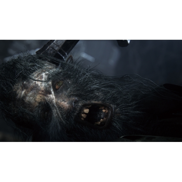 Bloodborne PS4 Hits
