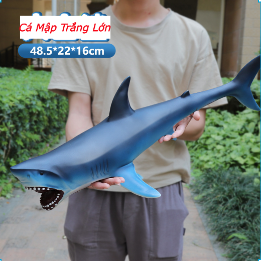Đồ chơi mô hình cá mập đầu búa, cá mập voi, cá mập trắng (Hàng Sẵn)