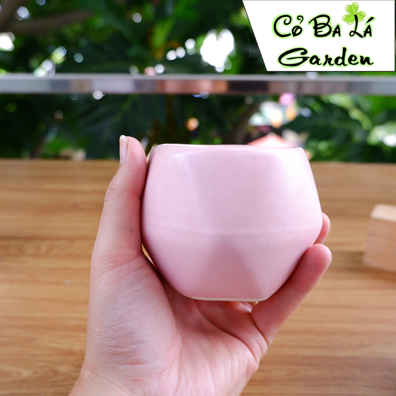chậu sứ bát tràng hình Quả Trám