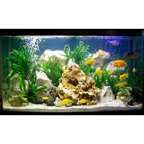 Cát biển trắng trải nền hồ cá 1kg
