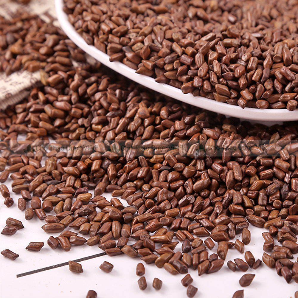 Thảo quyết minh khô 1kg, hạt muồng muồng, to, sạch, giúp thanh nhiệt, sáng mắt, nhuận tràng
